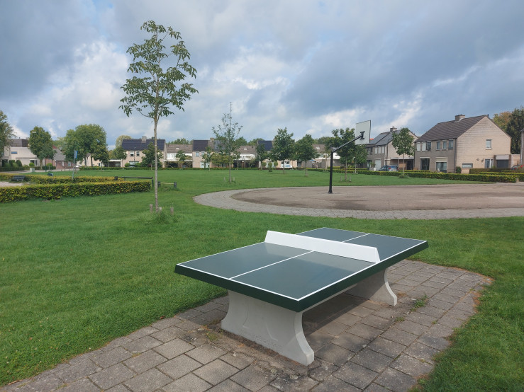 table de ping-pong verte