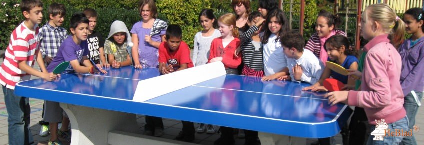 Tischtennistisch abgerundet blau aus beton